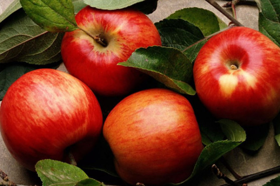 Խնձորն օգտակար է աղեստամոքսային համակարգի համար