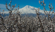 Արարատյան դաշտի դրախտային առավոտը