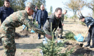 «Եռաբլուր» զինվորական պանթեոնում տնկվել է ավելի քան երկու հազար ծառ