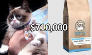 Grumpy Cat.  ջղային կատվի տերերը դատարանից ստացել են 710 հազար դոլար՝ հեղինակային իրավունքների համար