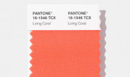 Pantone ինստիտուտը հայտնել է, թե որն է 2019 թվականի գույնը