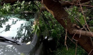 Բեռնատարը հարվածել է ծառին, ինչի հետևանքով ծառը կոտրվել և ընկել է կայանած ավտոմեքենաների վրա