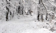 Դեկտեմբերի 31-ին և հունվարի 1-ի գիշերն առանձին շրջաններում սպասվում է ձյուն